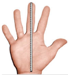 Hand Measure